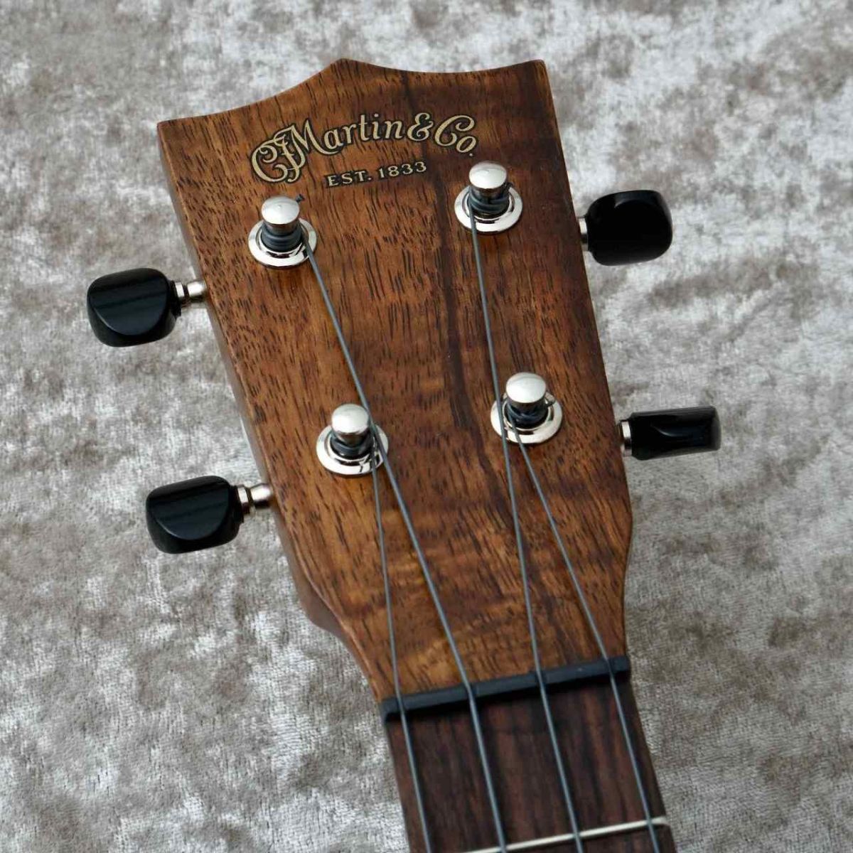 2K Concert Uke #2942066 | 【クロサワ楽器店オンラインショップ】いい 