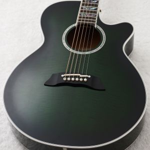 Takamineのアコースティックギター検索結果一覧 | 【クロサワ楽器店