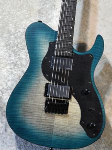 FUJIGEN(FGN)、HHのエレキギター検索結果一覧 | 【クロサワ楽器店