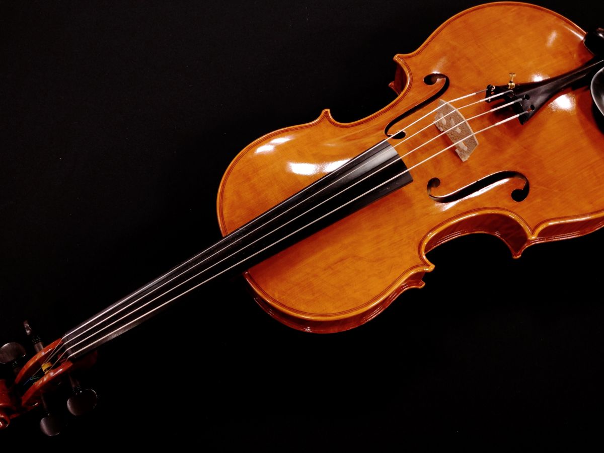 Lorenzo Cassi 2026 Pianello Val Tidone 40.5cm | 【クロサワ楽器店