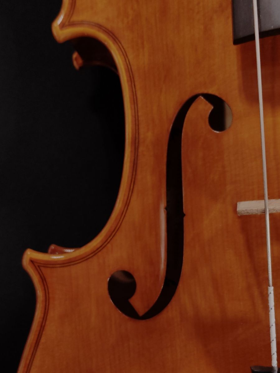 Lorenzo Cassi 2026 Pianello Val Tidone 40.5cm | 【クロサワ楽器店