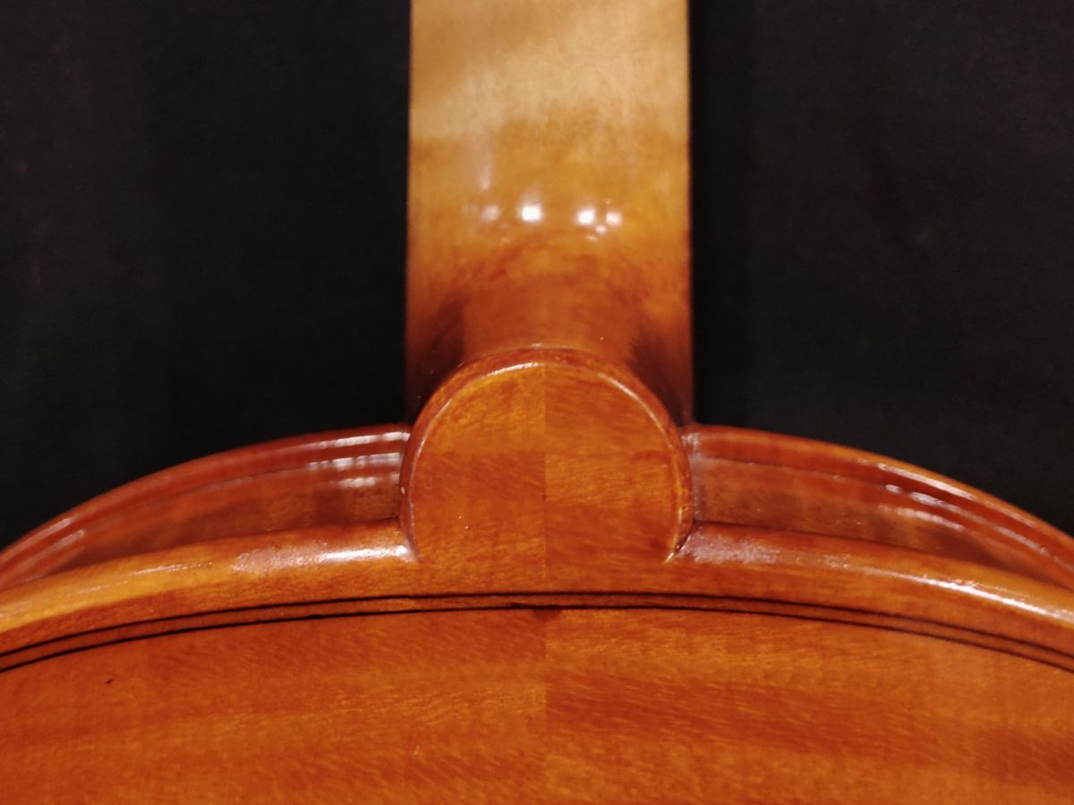 Lorenzo Cassi 2026 Pianello Val Tidone 40.5cm | 【クロサワ楽器店