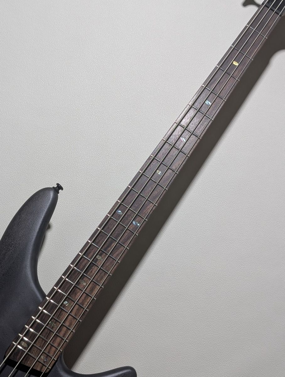 SR500A -Transparent Gray Flat- #251107058 | 【クロサワ楽器店