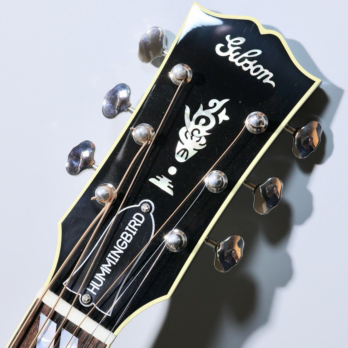 Hummingbird Torch Ebony Gloss #22795047 | 【クロサワ楽器店