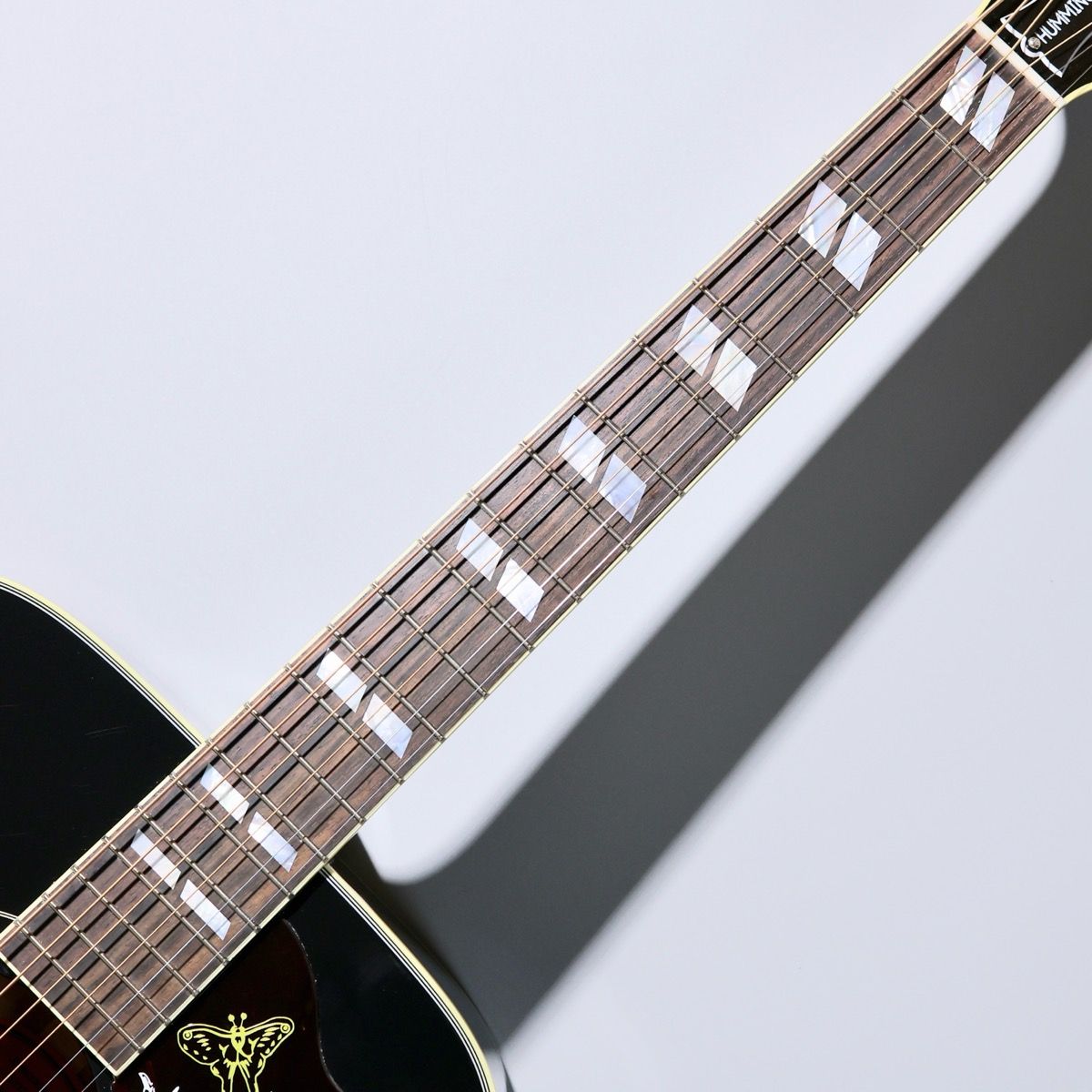 Hummingbird Torch Ebony Gloss #22795047 | 【クロサワ楽器店