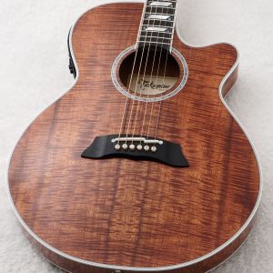 Takamine、20万円～30万円未満のアコースティックギター検索結果一覧