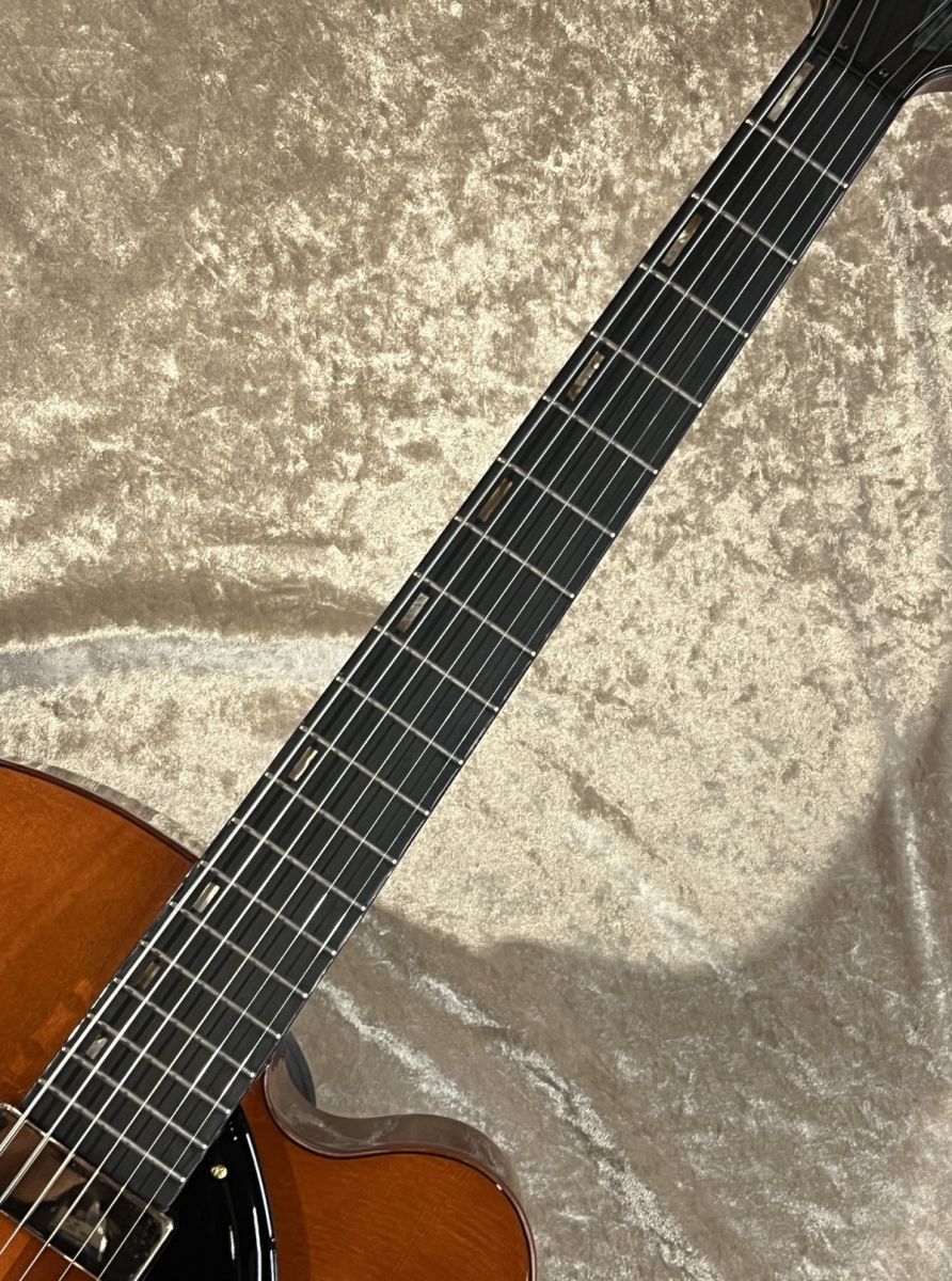 Artstar Series AFC151 Dark Amber snPW25070244 | 【クロサワ楽器店