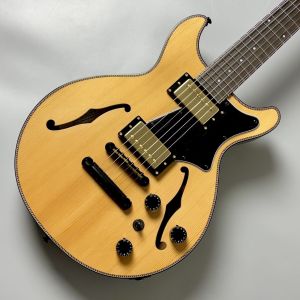 エレクトリックギター、10万円～20万円未満の商品検索結果一覧
