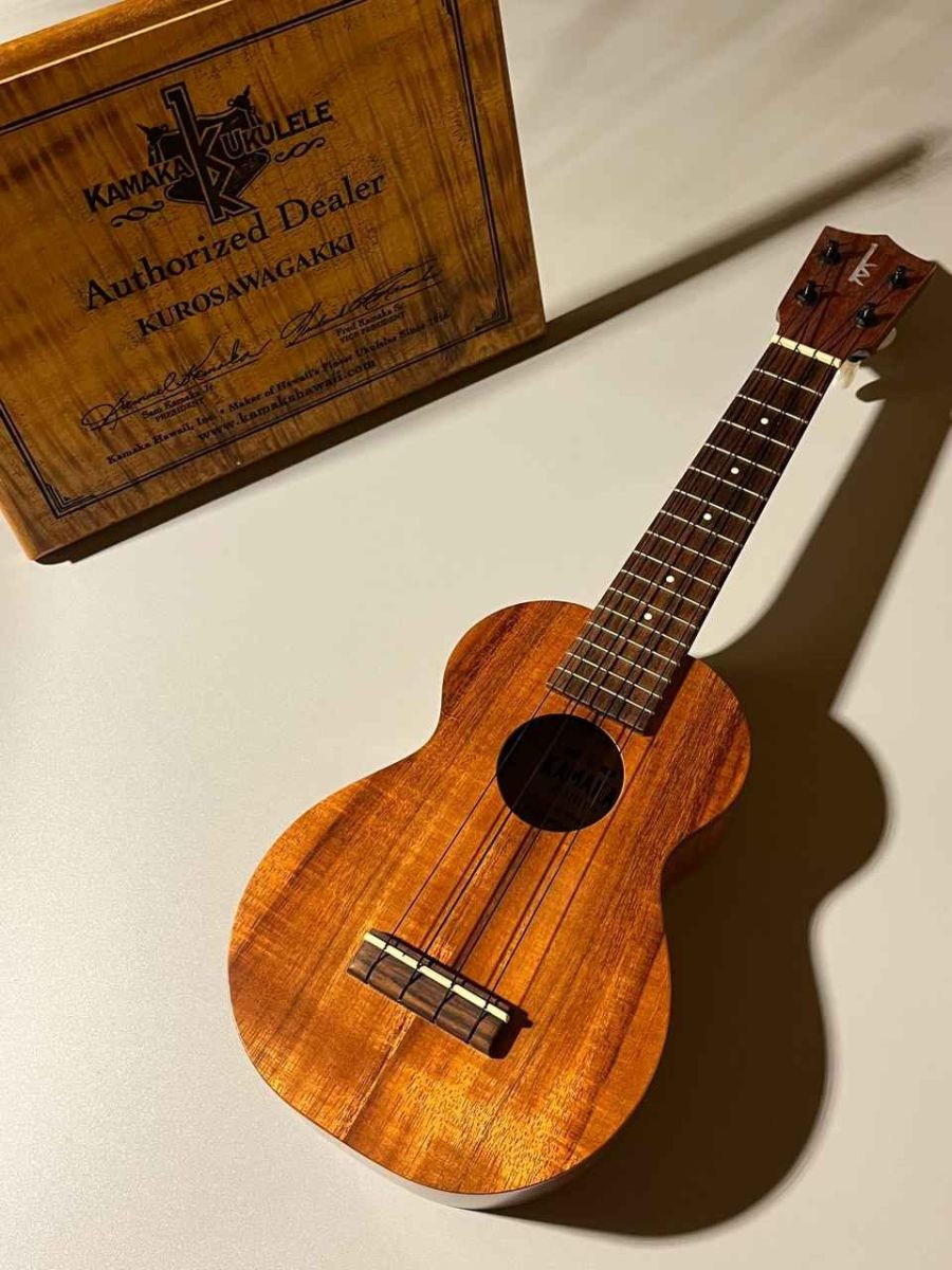 エレキギター　LS ナチュラル　木目　MIDIデータ　YAMAHA G1D ヤマハ | G1D - MIDIコントローラー - 特長