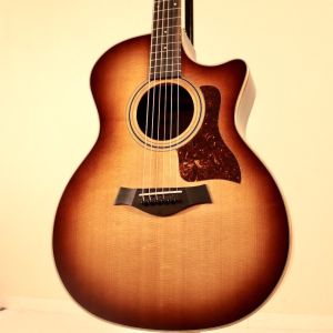 Taylor、20万円～30万円未満のアコースティックギター検索結果一覧