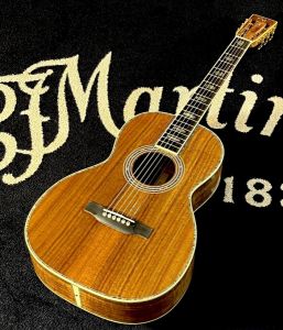 Ibanez、マダガスカルローズウッドのアコースティックギター検索結果