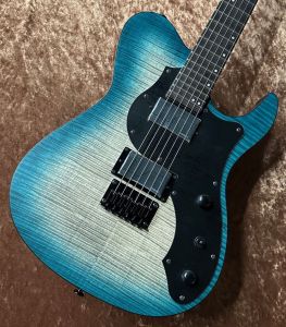 HH、24フレットのエレキギター検索結果一覧 | 【クロサワ楽器店
