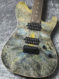 値下げ　GIGエレキギター G.I.G、新品、デタッチャブル（ボルトオン）のエレキギター検索結果