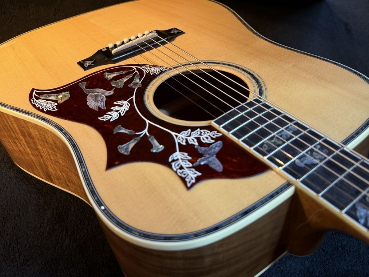 Hummingbird Custom KOA ~Antique Natural~ #21116042 | 【クロサワ