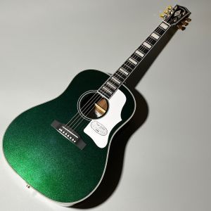 エレクトリックアコースティックギター、ドレッドノート タイプの