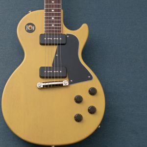 新品、20万円～30万円未満、池袋店エレキ本館のエレキギター検索結果
