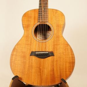 Taylor、10万円～20万円未満のアコースティックギター検索結果一覧