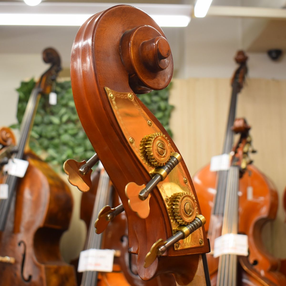 GenialⅠViolin Shape/F.Back 1/4size | 【クロサワ楽器店オンライン