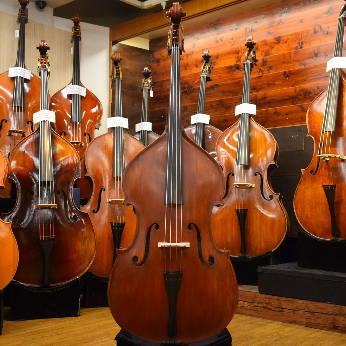 Gliga GenialⅠViolinShape/F.Back 1/4size GenialⅠViolin Shape/F.Back 1/4size | 【クロサワ楽器店オンライン