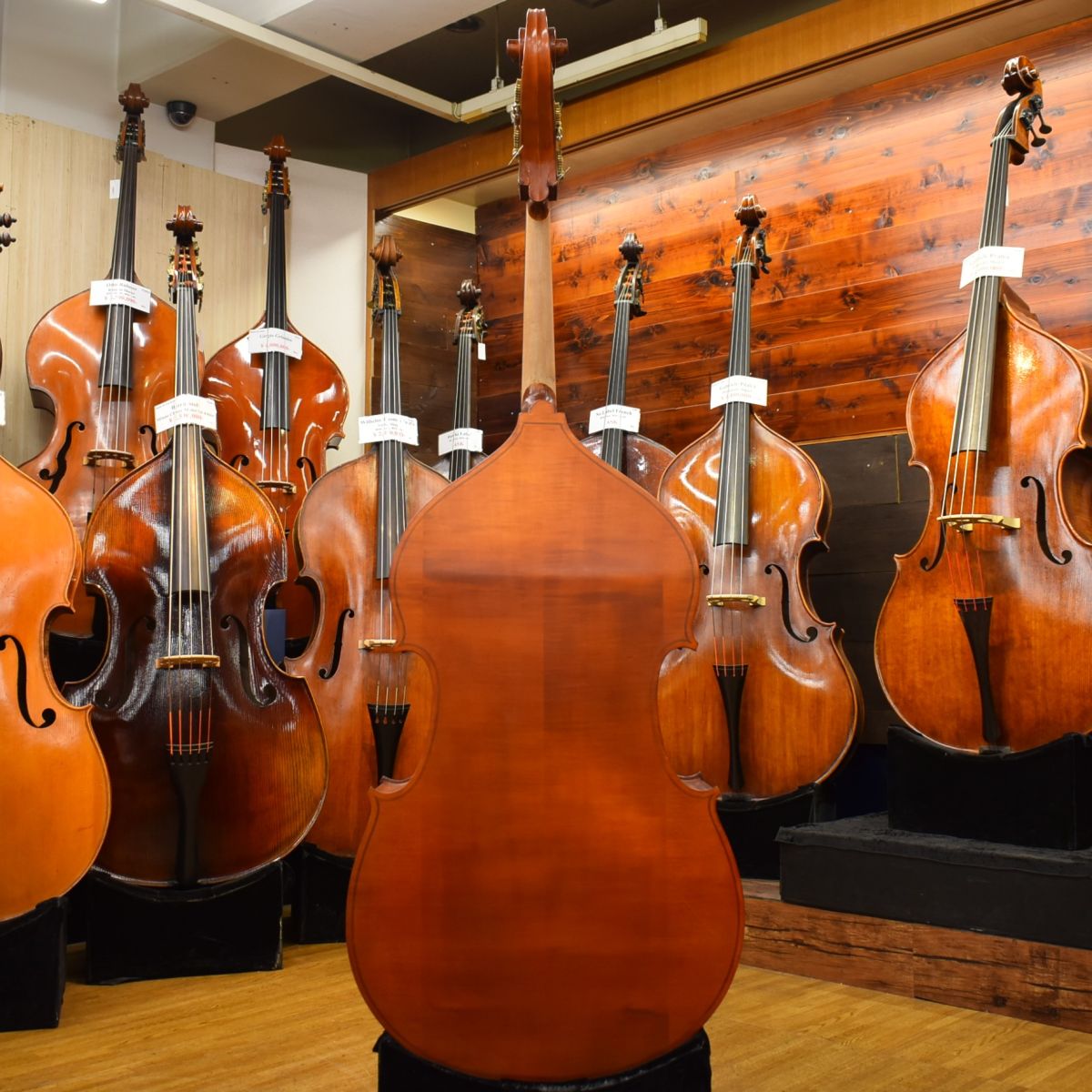 GenialⅠViolin Shape/F.Back 1/4size | 【クロサワ楽器店オンライン