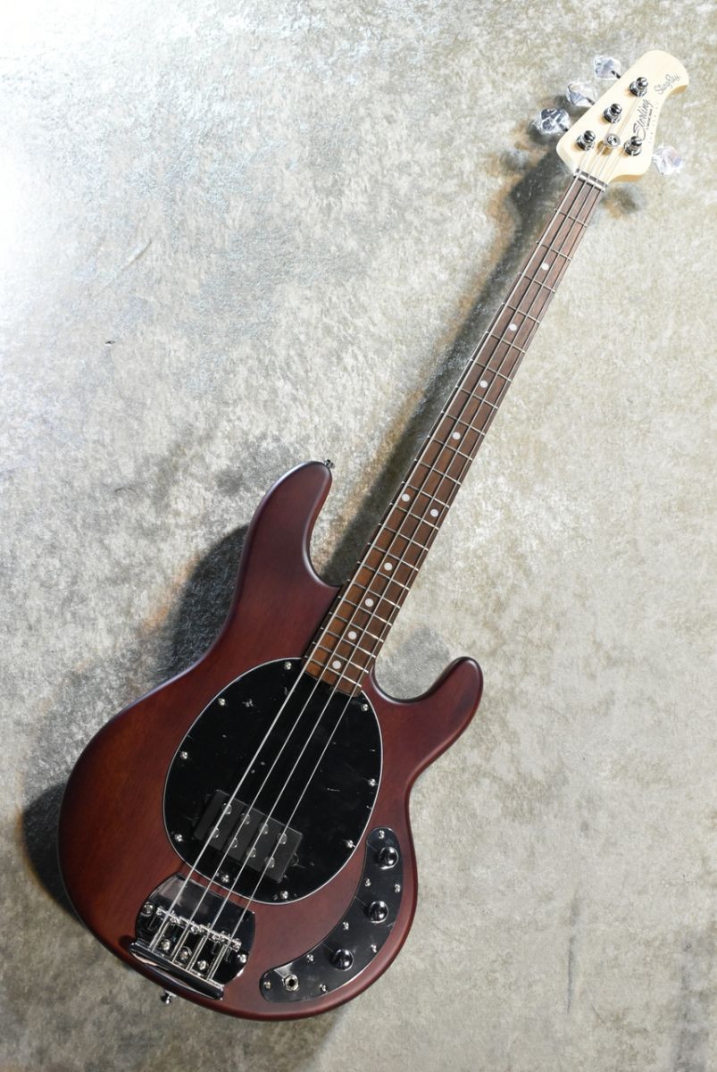 SUB Series StingRay Ray4 WS Walnut Satin #B217634 | 【クロサワ楽器