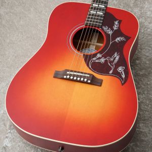 Gibson、ドレッドノート タイプのアコースティックギター検索結果一覧