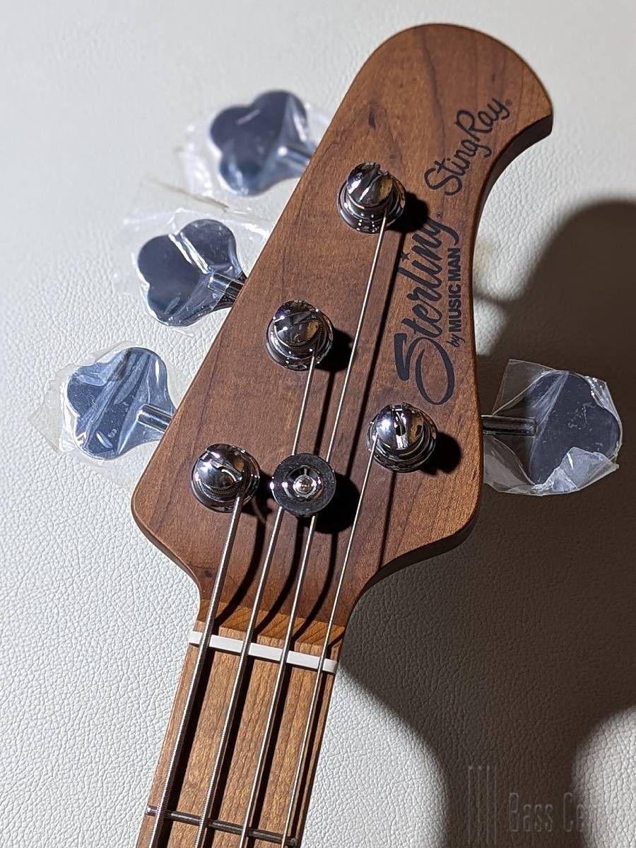 StingRay Ray34 Ash -Natural- #SR78527 | 【クロサワ楽器店オンライン