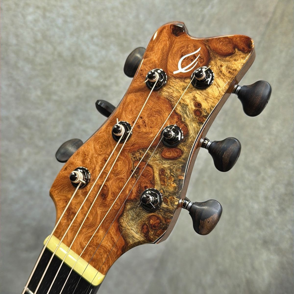 Leaf Instruments CTM 葵 Cedar×Hondrus Mahogany | 【クロサワ楽器店