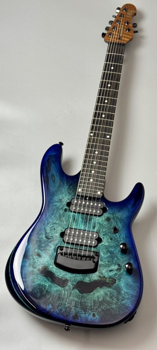 ギター Tsuyoshi Yamaguchi Richardson7 Jason Richardson 7-String Cutlass HT Water Temple | 【クロサワ楽器