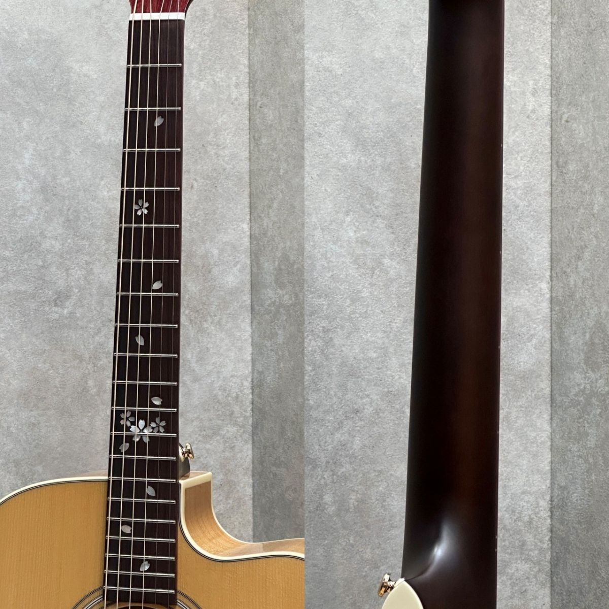 HOC-SAKURA/JS SKP #JT250863 | 【クロサワ楽器店オンラインショップ