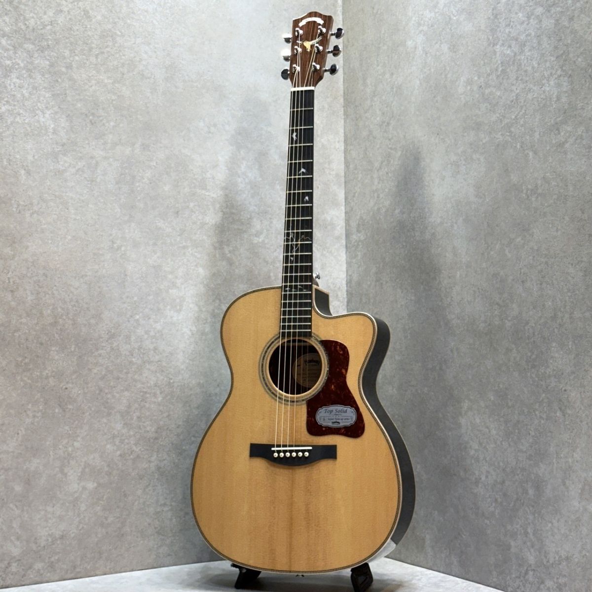 Headway HOC-KINGFISHER アコースティックギター(6弦なし) Headway HOC-KINGFISHER アコースティックギター(6弦なし)