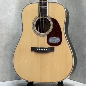 ドレッドノート タイプのアコースティックギター検索結果一覧