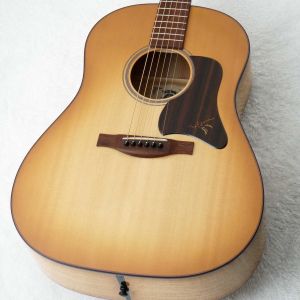 Headwayのアコースティックギター検索結果一覧 | 【クロサワ楽器店