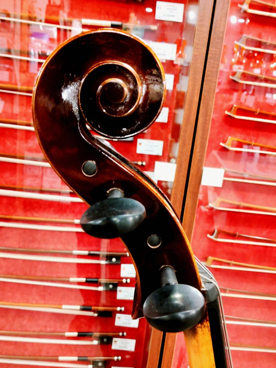 GRAZIOSO GC-1H 2024年製 4/4サイズ チェロ Grazioso ~GC-1H