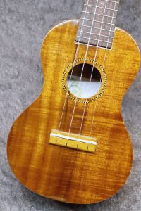 Famousのウクレレ検索結果一覧 | 【クロサワ楽器店オンラインショップ