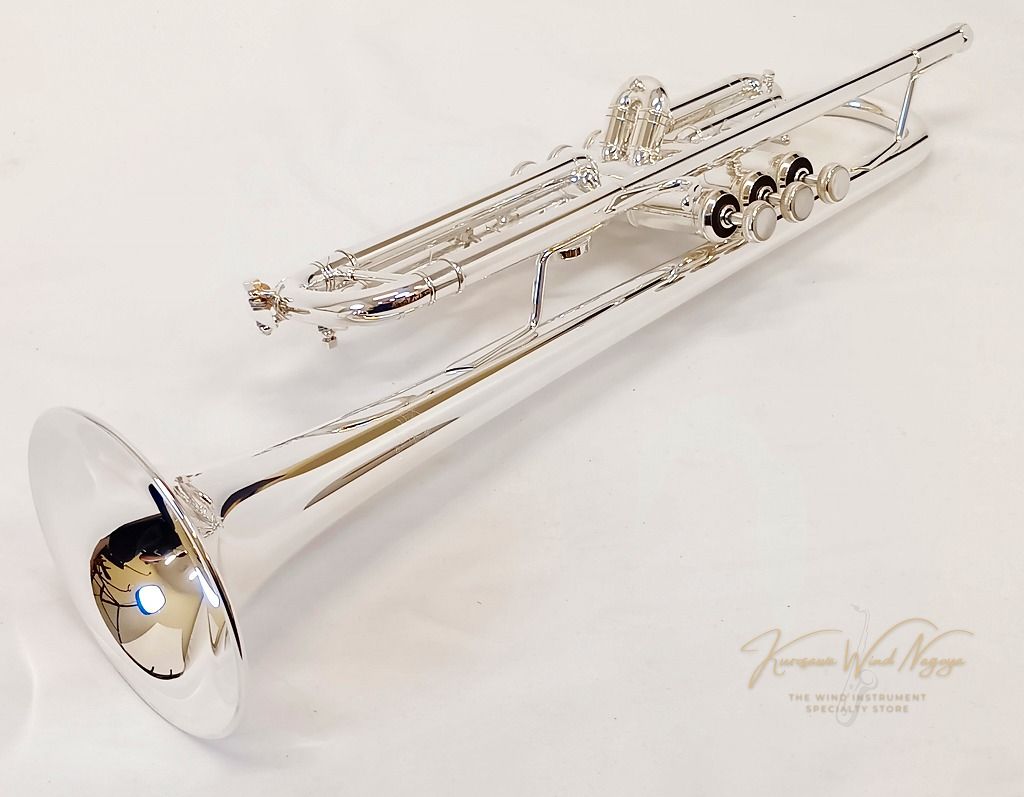Vincent SP s/n 742***【中古】 | 【クロサワ楽器店オンラインショップ