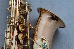 YANAGISAWA、ハードケースの管楽器検索結果一覧 | 【クロサワ楽器店