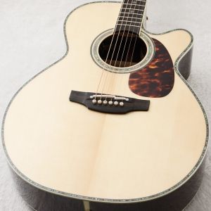 Takamine、セミハードケースのアコースティックギター検索結果一覧