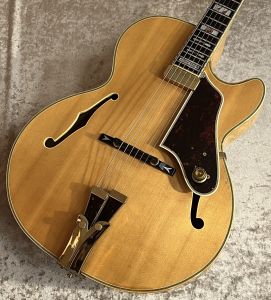 Ibanez、エボニー指板のエレキギター検索結果一覧 | 【クロサワ楽器店