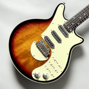 マホガニー、24フレットのエレキギター検索結果一覧 | 【クロサワ楽器