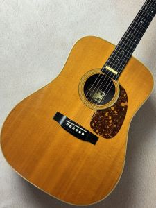 Headway、ドレッドノート タイプのアコースティックギター検索結果一覧