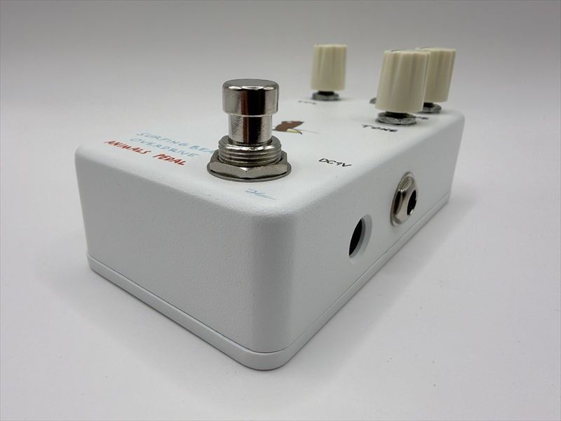 Surfing Bear Overdrive | 【クロサワ楽器店オンラインショップ】いい