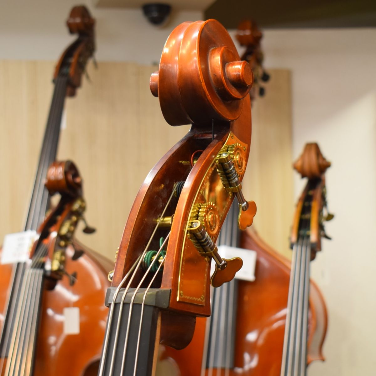 Gems II Gamba Shape/C.Back | 【クロサワ楽器店オンラインショップ