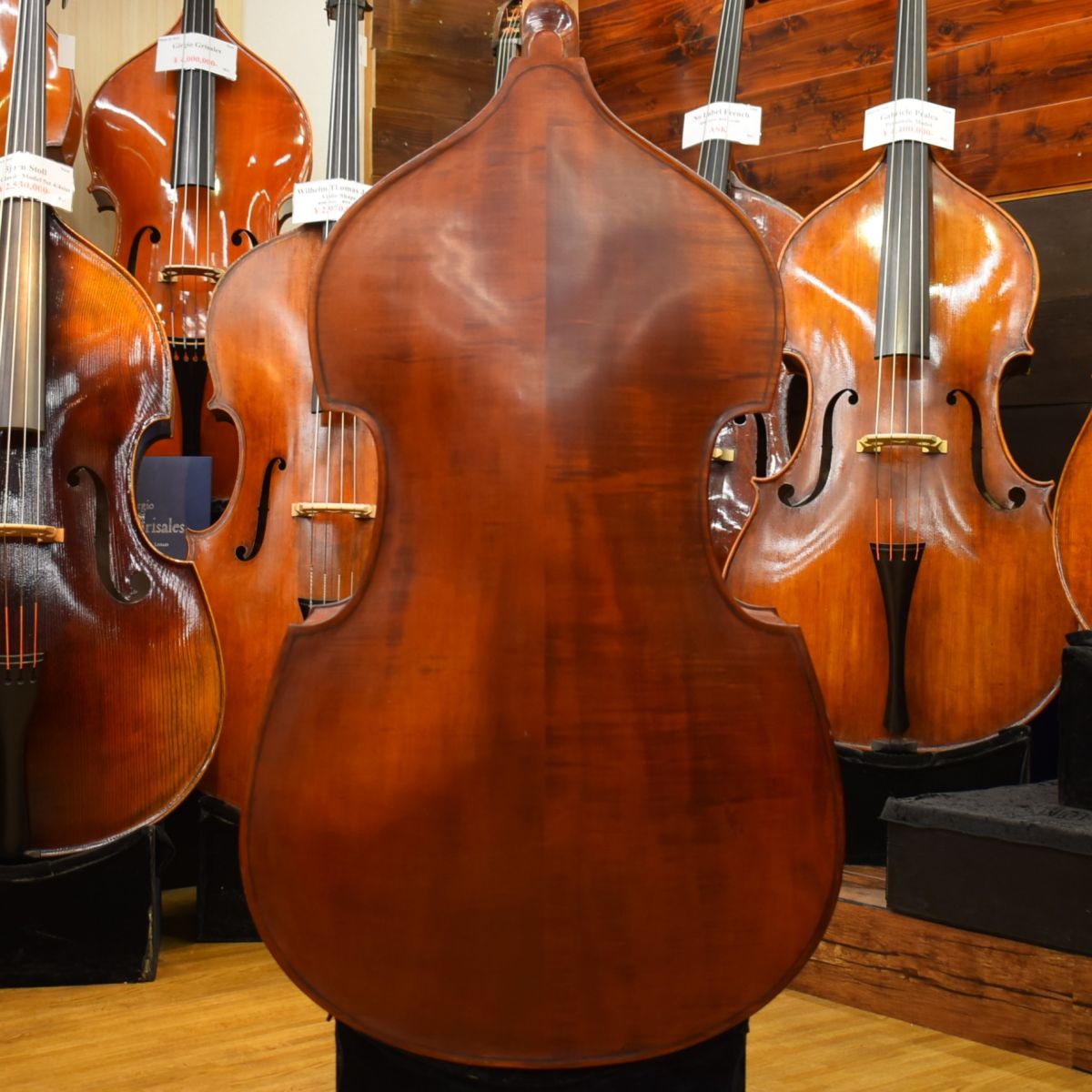 Gems II Gamba Shape/C.Back | 【クロサワ楽器店オンラインショップ