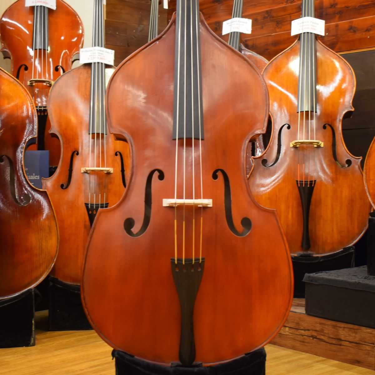 自宅用Gliga Gems Ⅱ G/Cコントラバス(国内4/4サイズ) Gems II Gamba Shape/C.Back | 【クロサワ楽器店オンラインショップ