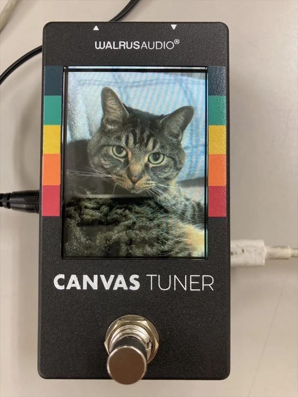Canvas Tuner -WAL-CANV/TU- | 【クロサワ楽器店オンラインショップ
