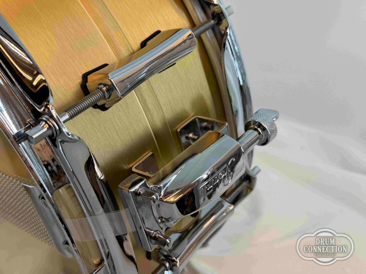 The Primal Snare Collective Brass [PSC1455B] | 【クロサワ楽器店