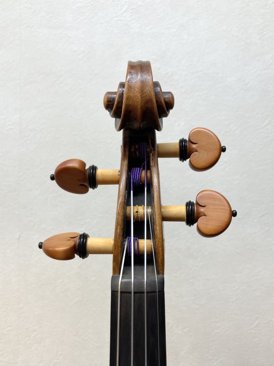 Old Violin 