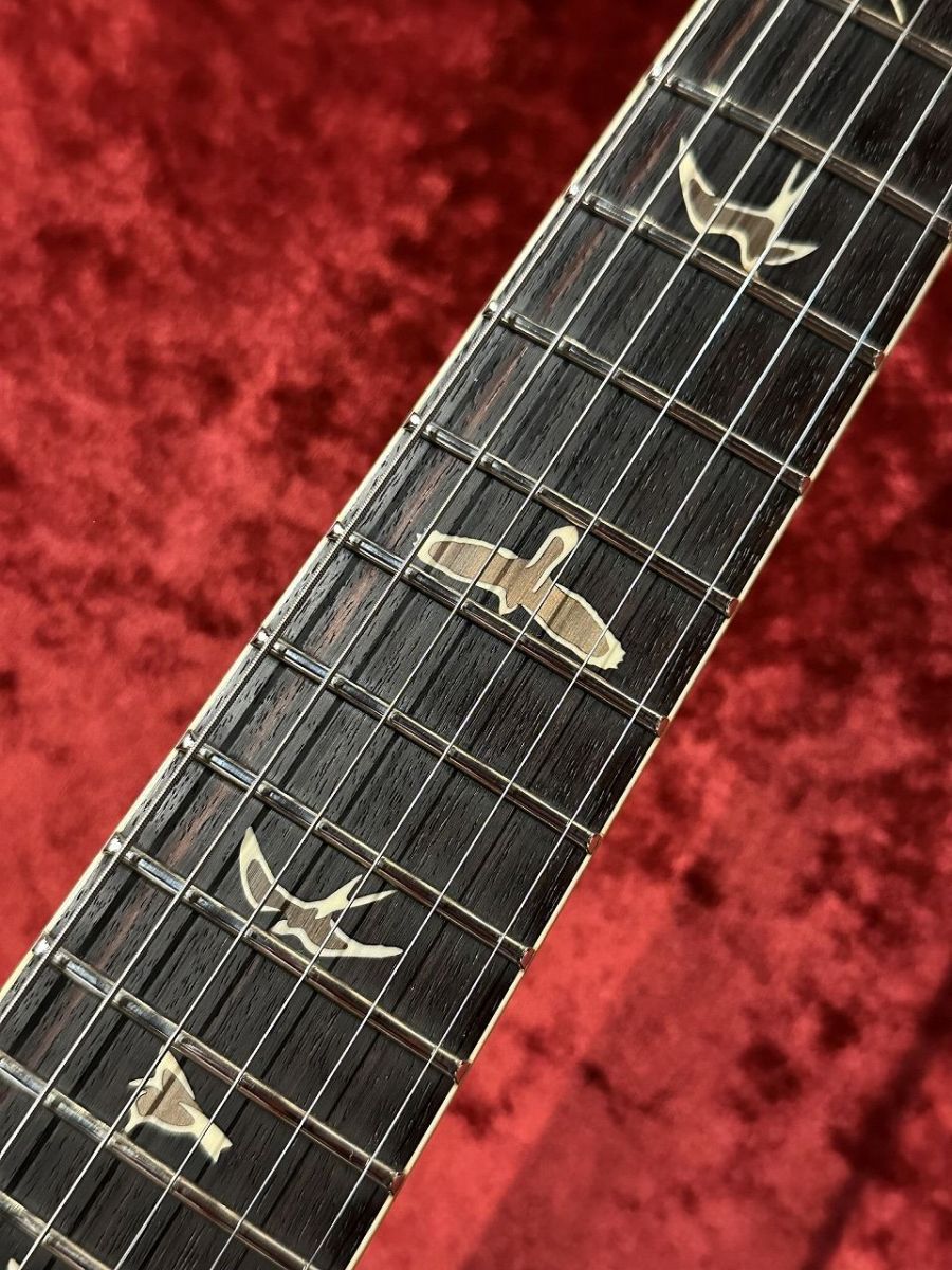 Santana Signature Model 10Top -Smoked Orange- | 【クロサワ楽器店