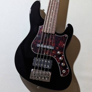 Fujigen Bass 2000年代前半製　ジャズベースタイプ FUJIGEN(FGN)のベース検索結果一覧 | 【クロサワ楽器店オンライン